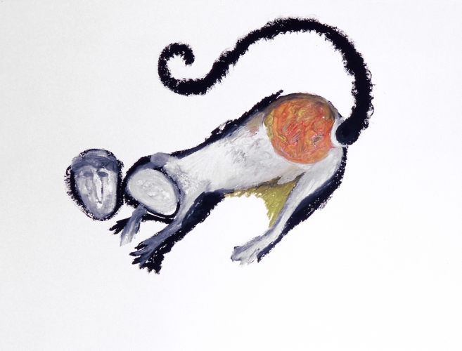 Drawing Monkeys Red Rump 