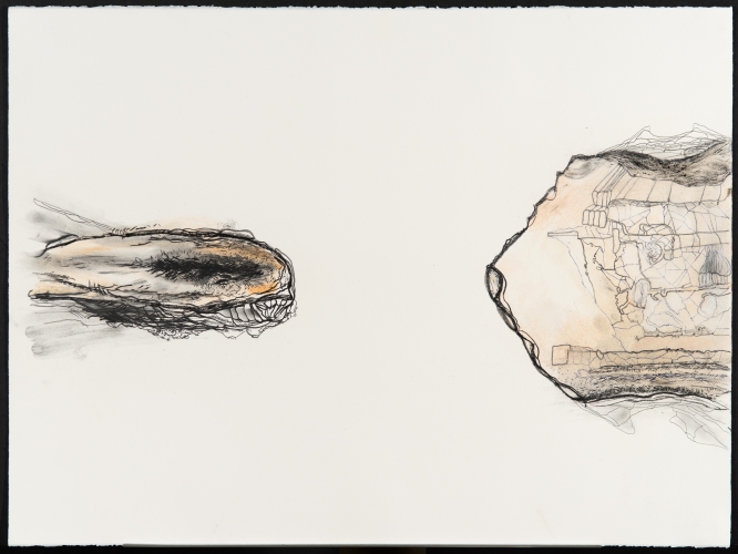 donottellmewhereibelong 8