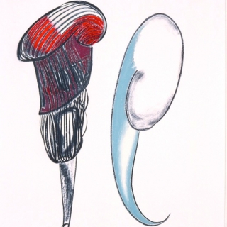 vessel and emergent drawing 